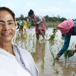 apply-for-bangla-shasya-bima-yojana-and-get-the-donation-for-damaged-crops