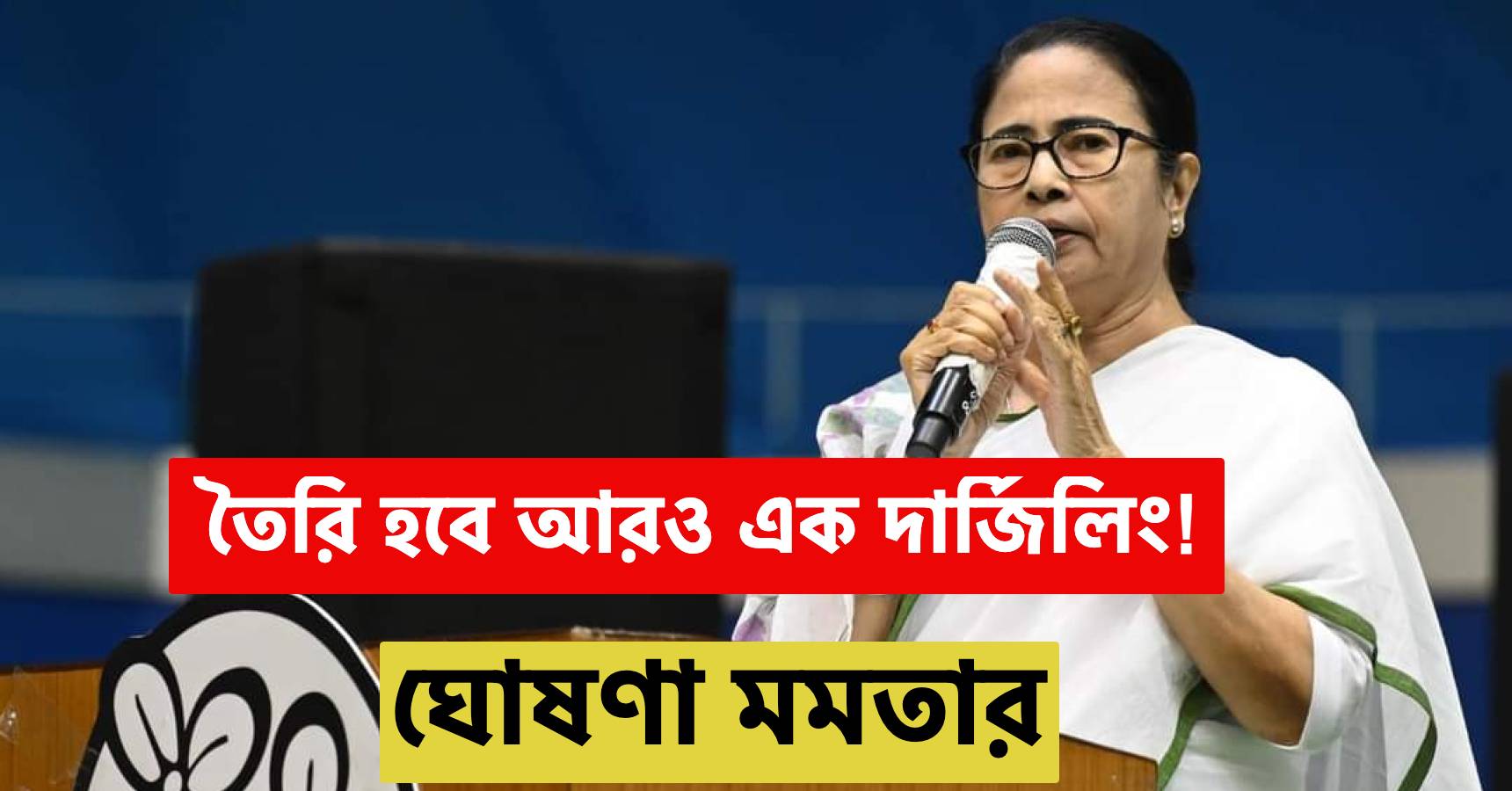 mamata 1