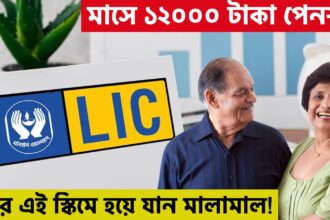 lic pension scheme