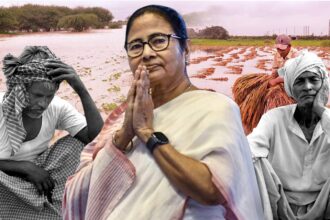 government of west bengal will give compensation to farmers