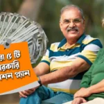 best 5 government schemes to invest to receive pension