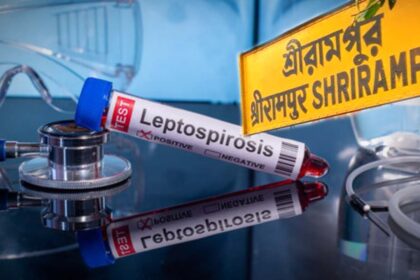 শ্রীরামপুরে নতুন দুশ্চিন্তা: ডেঙ্গির পর এবার লেপ্টোস্পাইরোসিসের আতঙ্ক, বর্ষার জলেই ছড়াচ্ছে সংক্রমণ 10 13 9
